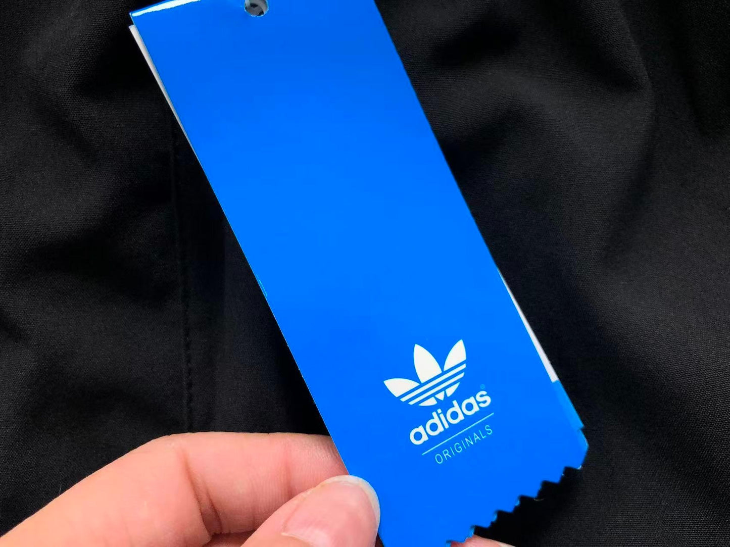 Short adidas Coastal Trefoil