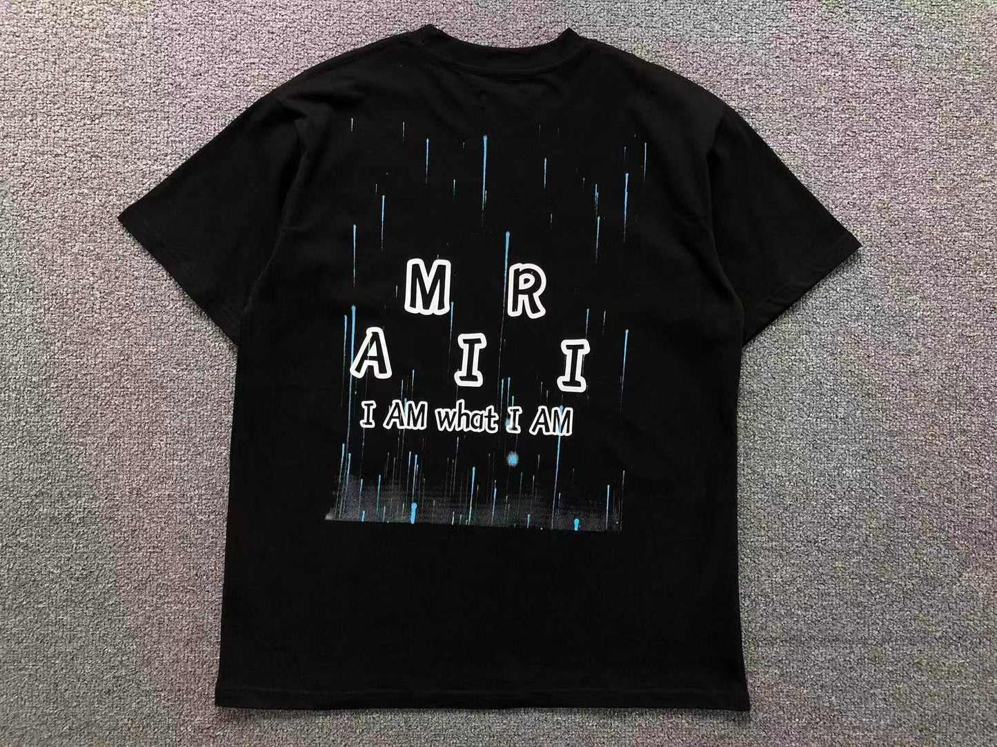 Camiseta AMIRI I Am What I Am Rain