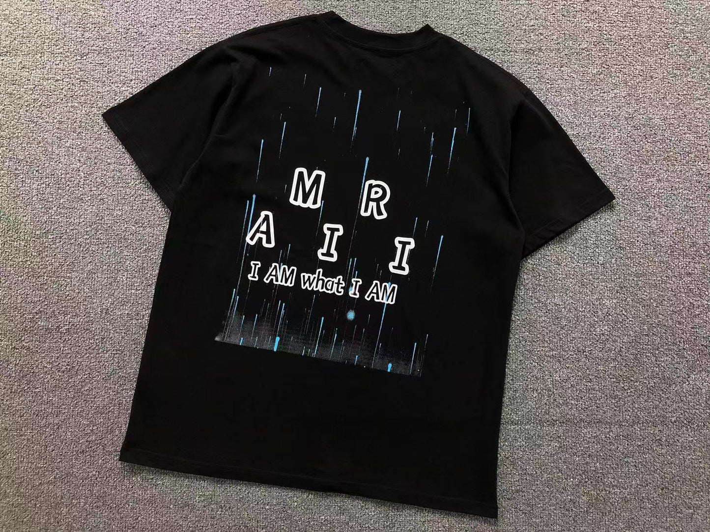 Camiseta AMIRI I Am What I Am Rain