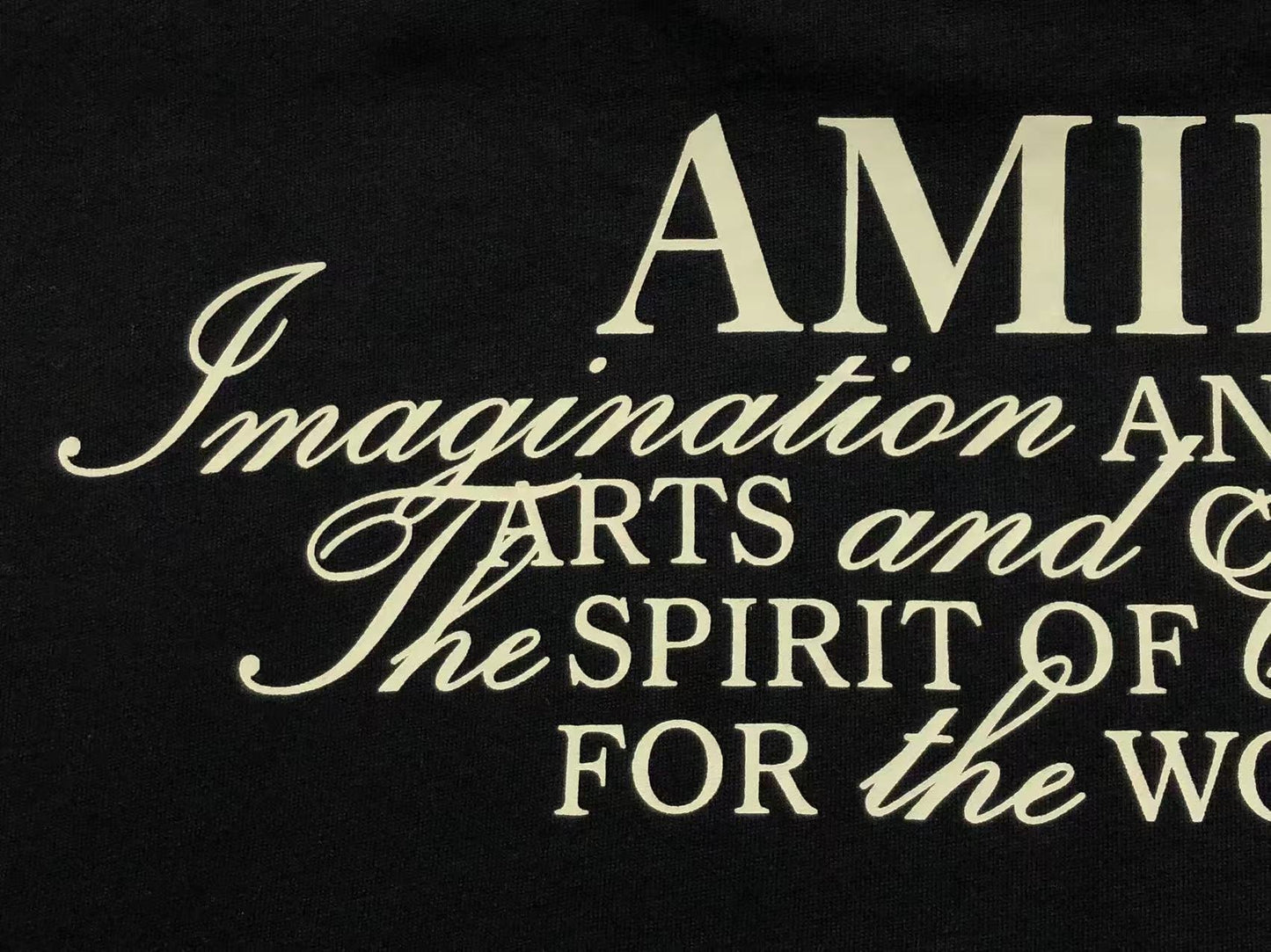 Camiseta AMIRI Dreams Script Back