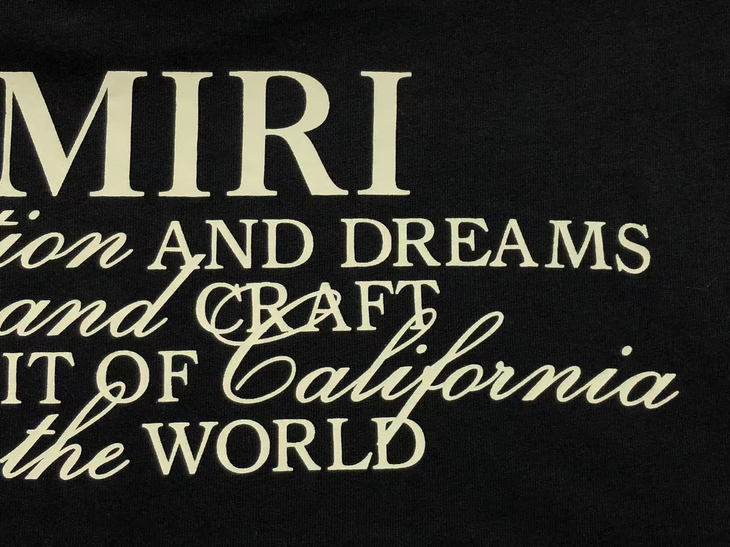 Camiseta AMIRI Dreams Script Back
